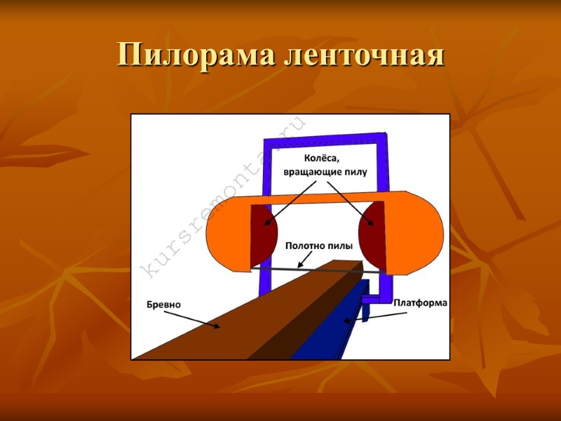 Пилорама ленточная